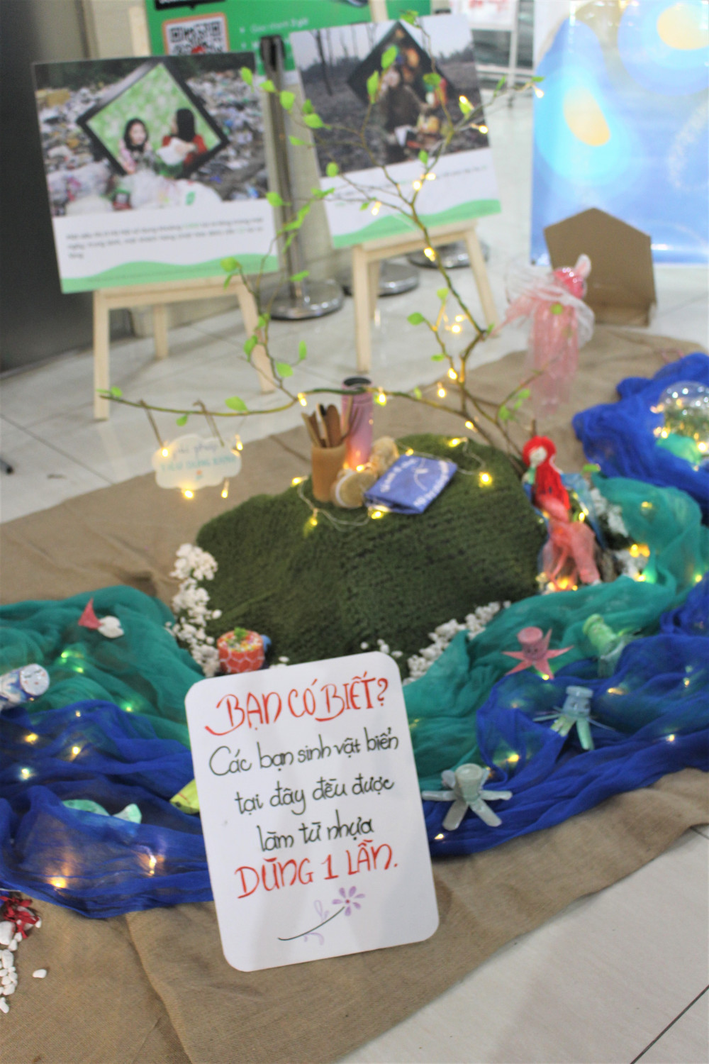 IMG 2354 (2)