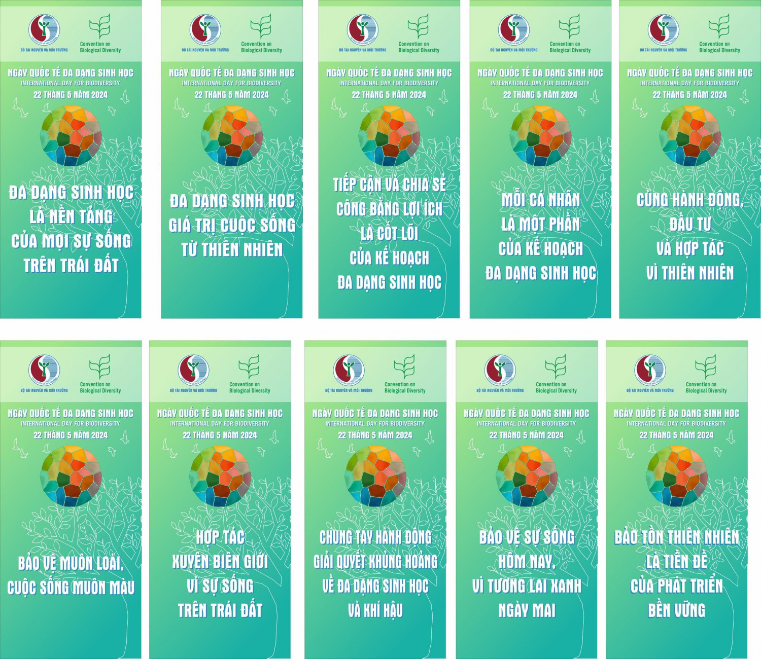 z5438618204080 banner Ngay DDSH