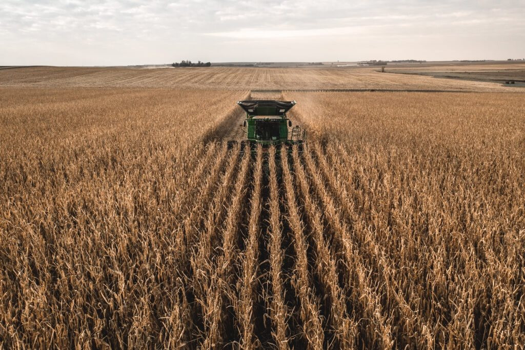 ethanol 120240908204923